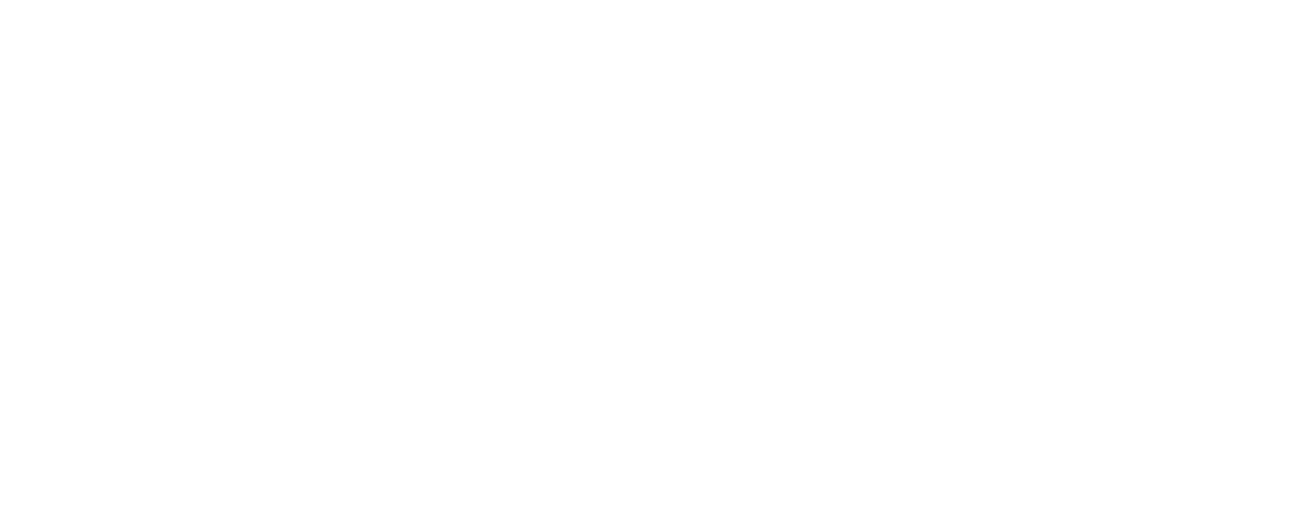 omar naser horizontal logow